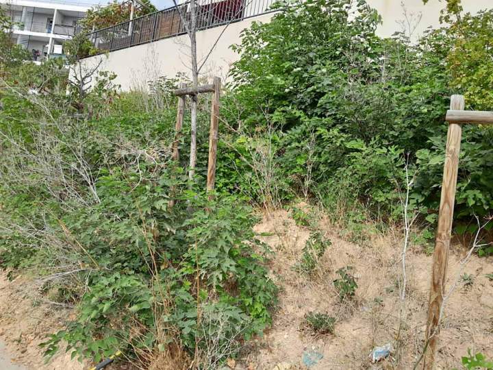 Entretien de jardin Marseille