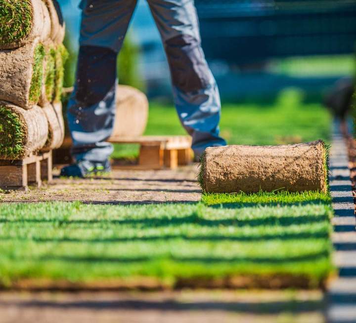 Entretien de jardin, La Ciotat