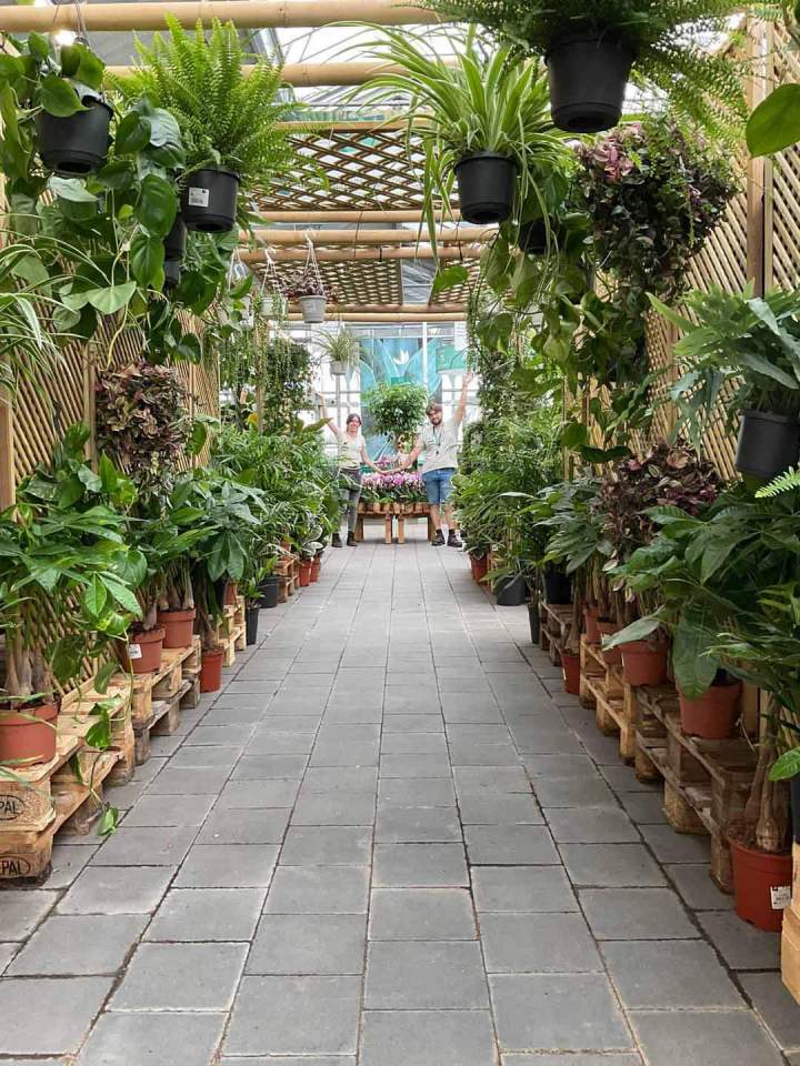 Création de jardin Marseille