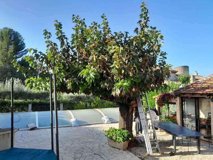 Entretien de jardin Marseille