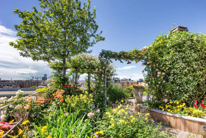 Entretien de jardin, Le Rove