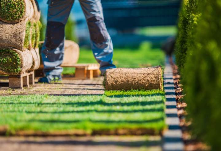Création de jardin, Plan-de-Cuques